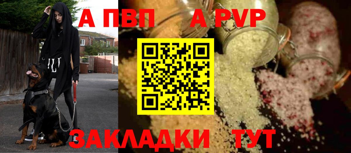A-PVP СК Петропавловск-Камчатский