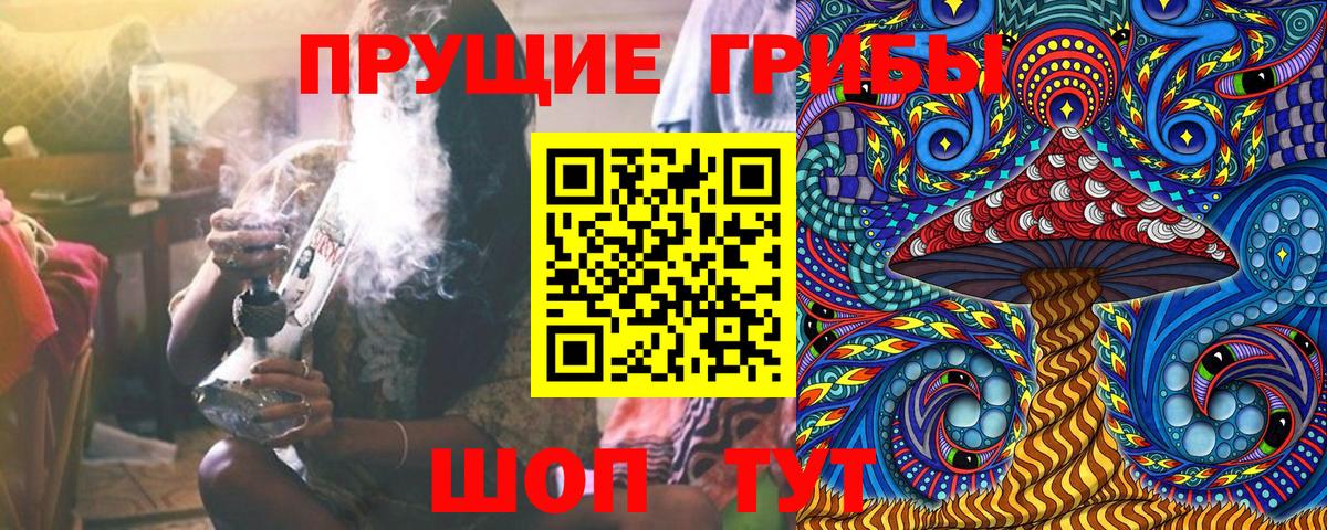 Петропавловск-Камчатский  Галлюциногенные грибы Psilocybine cubensis  Вход с VPN 